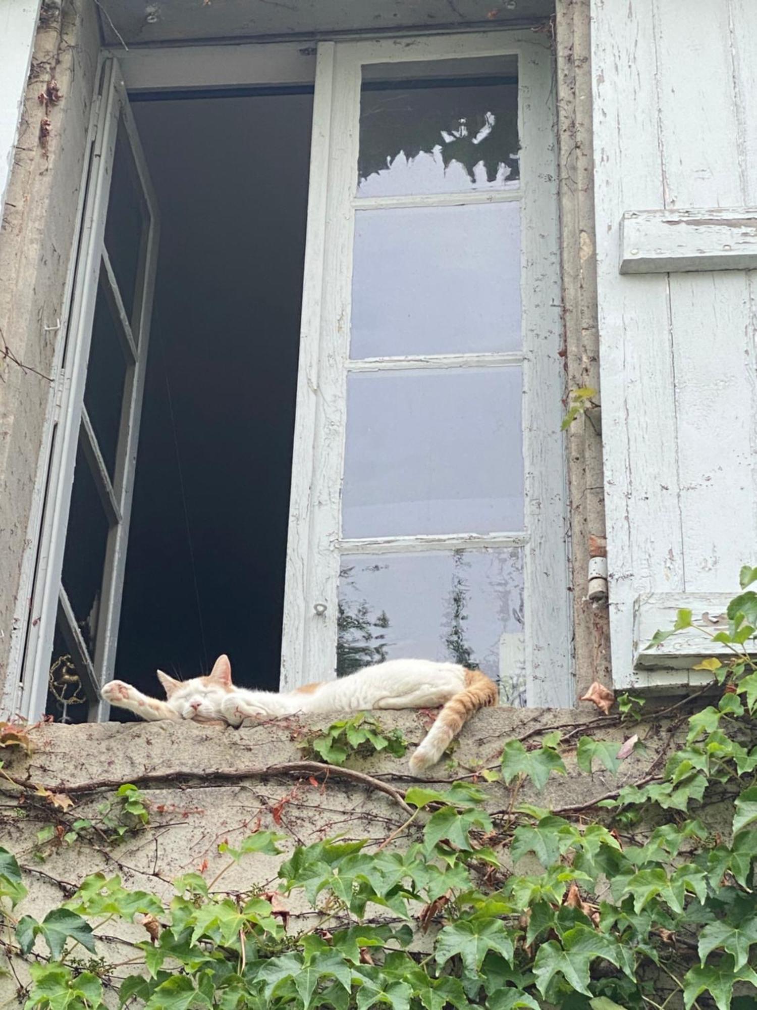 Au Jardin Y Acomodação com café da manhã Moissac Exterior foto